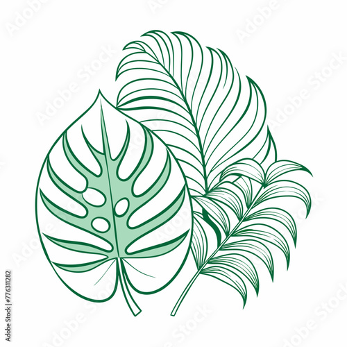 One line drawing vector monstera leaf and palm tree leaves. Modern single line art