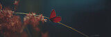 red butterfly gracefully perches on a slender twig adorned with faded blooms, its striking wings standing out against the dimming blue backdrop