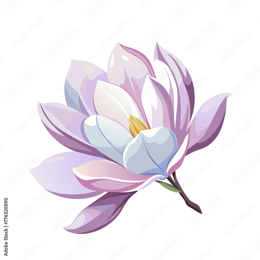 Beautiful magnolia flower art drawn on white background