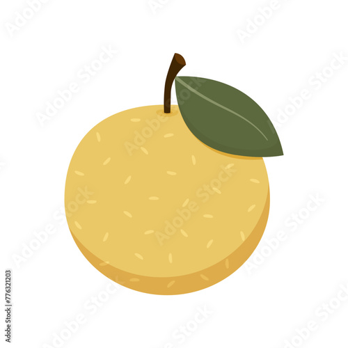 Asian pear whole fruit and half isolated on white background. Vector illustration of tropical exotic fruits in flat style.
