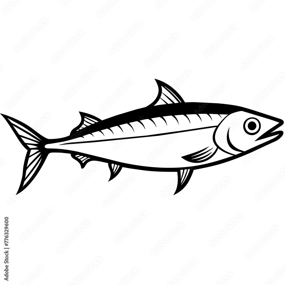 fish on a white background