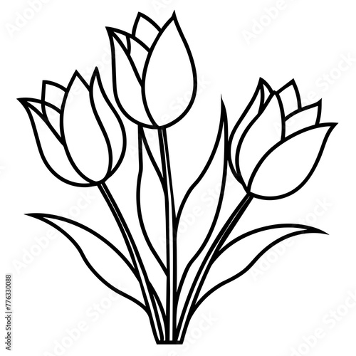 black and white tulips