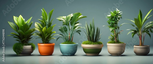 Different types of houseplants showcased, each with unique leaf patterns and pot designs