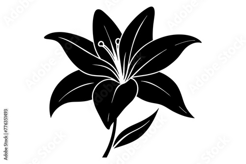  lily silhouette vector art illustration © Merry