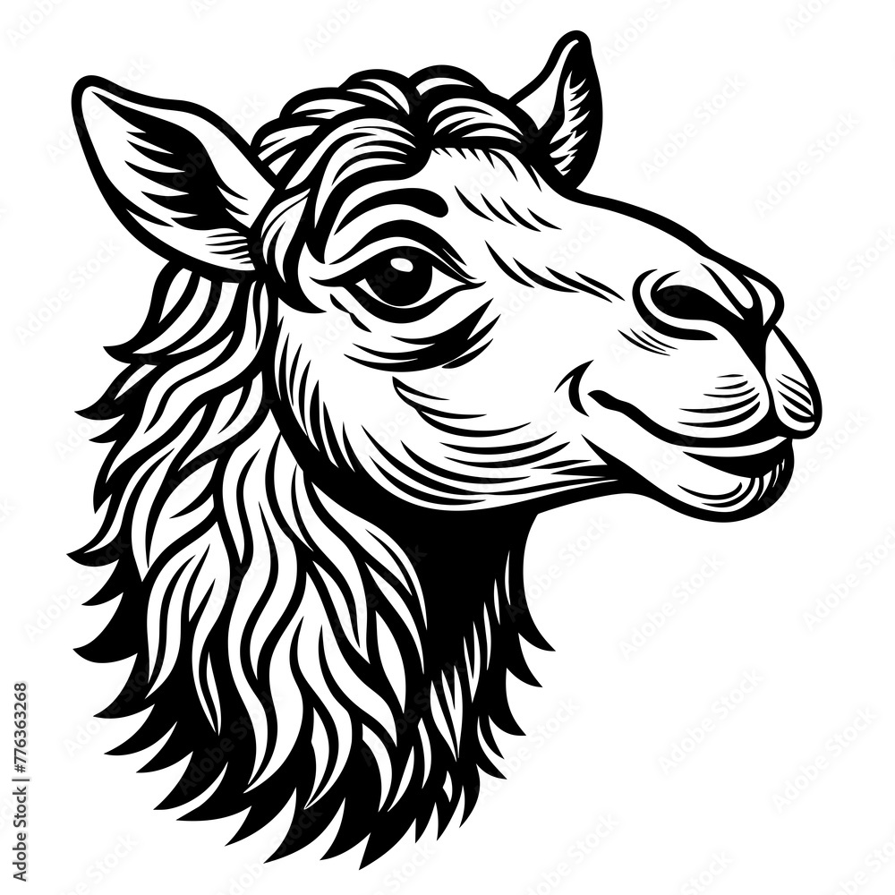 camel head silhouette vector illustration svg file
