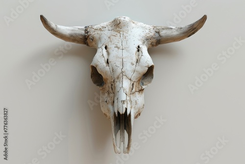 3D cow skull desert symbol