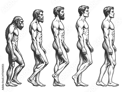 evolution of man from ape through various stages to modern human sketch engraving generative ai fictional character vector illustration. Scratch board imitation. Black and white image.