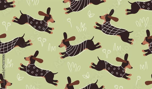 Funny seamless pattern with cute dachshund dog and doodle elements.Cartoon animal characters and line drawn clothes and plants.Vector design for printing on fabric and paper,wallpaper,cover,background