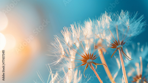 Close up of white head of dandelion flower blooming in summer with blue sky in background. Generative AI