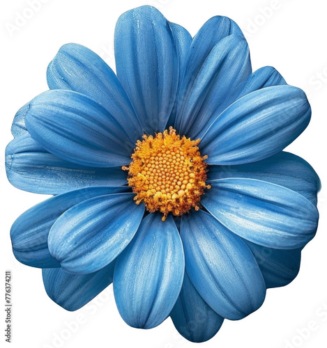 Blue Flower With Yellow Center on Blue Background. Transparent Background PNG © LUPACO PNG