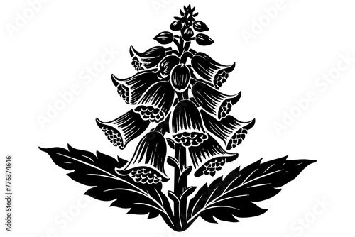 foxglove silhouette vector illustration photo