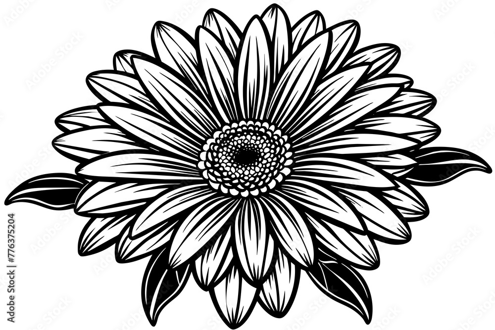 gerbera silhouette vector illustration