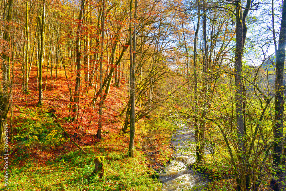 Die Mud, südlicher Zufluss des Mains bei Kirchzell im unterfränkischen Landkreis Miltenberg (Bayern)