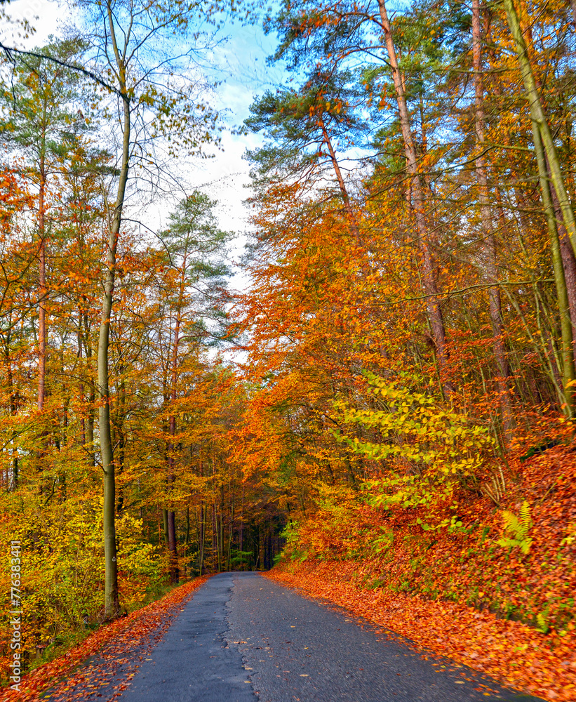 Obraz premium Steinbacherstraße in Richtung Hettigenbeuern - Buchen (Odenwald) im Neckar-Odenwald-Kreis in Baden-Württemberg
