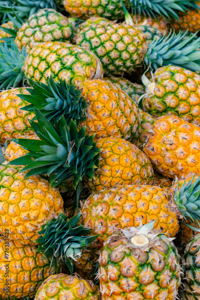closeup of honey gold variety pineapple (Ananas comosus) closeup of honey gold variety pineapple (Ananas comosus)