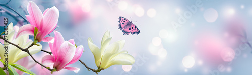 Magnolia flower and butterfly in spring fairy tale blooming garden on mysterious floral soft blue blurred background with sun light and boke, beautiful nature park landscape, wide panoramic banner.