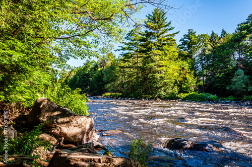 Rivière du Nord, just north of Montreal, roars over rocks, its banks adorned with stones and lush greenery on a warm summer day