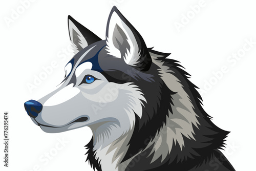 sibyrian-husky dog head vector illustration