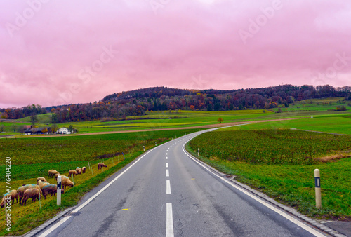 Die Frauenfelderstraße in Herdern, Bezirk Frauenfeld des Schweizer Kantons Thurgau