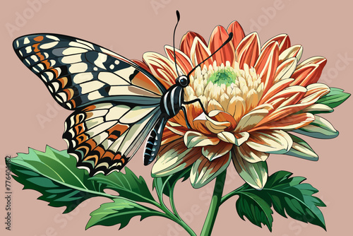 Close-up, a butterfly sits on a bud of a beautiful chrysanthemum, photorealism, hyperrealism, precise details