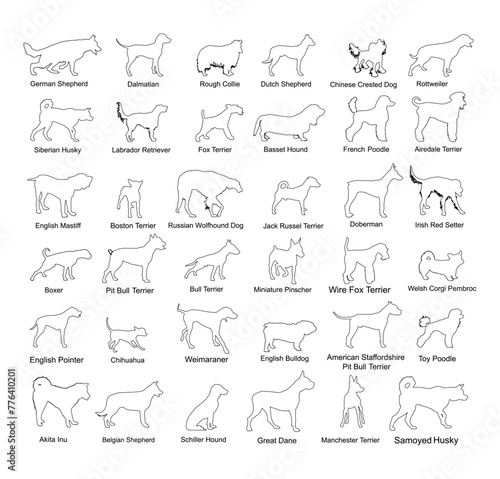 Dog breed set collection vector line contour silhouette illustration isolated. Pit bull terrier, wire fox terrier, corgi, German shepherd, hound, doberman, husky, poodle, rottweiler. Dog shape shadow.