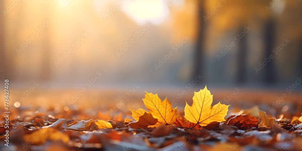 Autumn background with yellow leaves on bokeh defocused lights