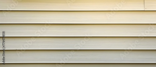 Removing mold from vinyl siding requires the skills of a handyman. Concept Home Maintenance, Mold Removal, Vinyl Siding, Handyman Services, Exterior Cleaning