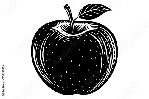 apple vector illustration