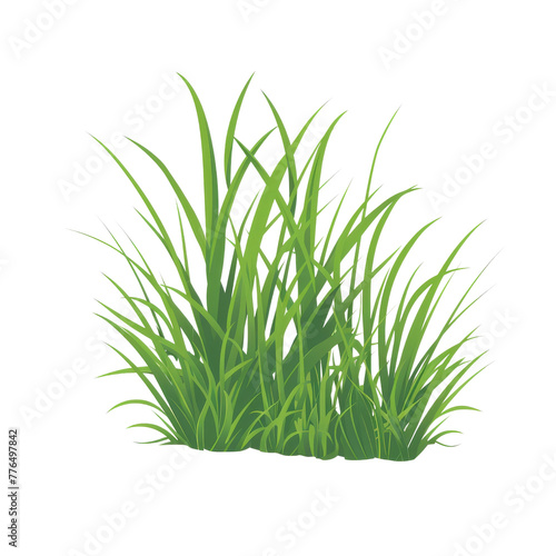 Green grass isolated on transparent background.