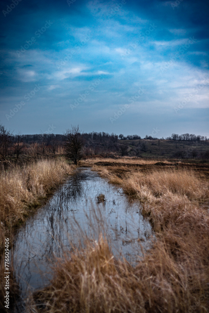 Water on the field .Floods in the field and forest . Sunset time , blue sky with clouds . Road in forest 