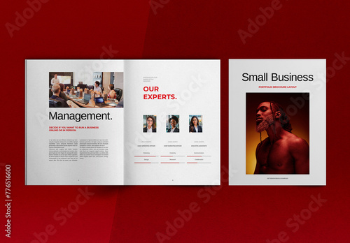 Small Business Brochure Layout (ID: 776516600)