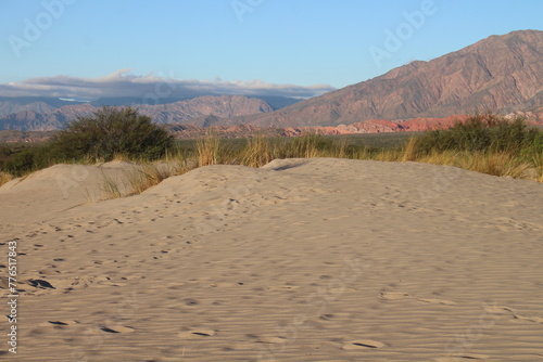 Sand dunes landscape of northwestern Argentina