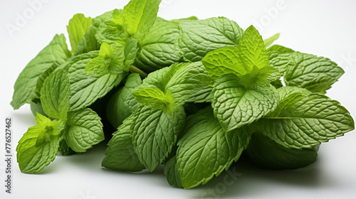 mint leaves on a white background