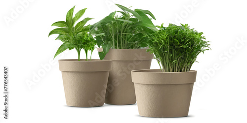 Green biodegradable plant pots Transparent Background Images