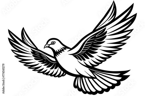 dove of peace illustration