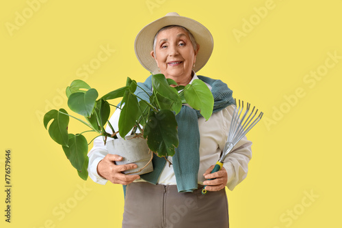 Senior gardener with plant ...