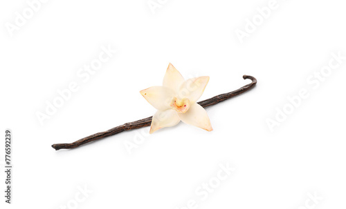 Beautiful vanilla flower with stick isolated on white background