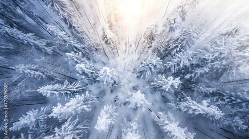 aerial view of a snow-covered forest landscape