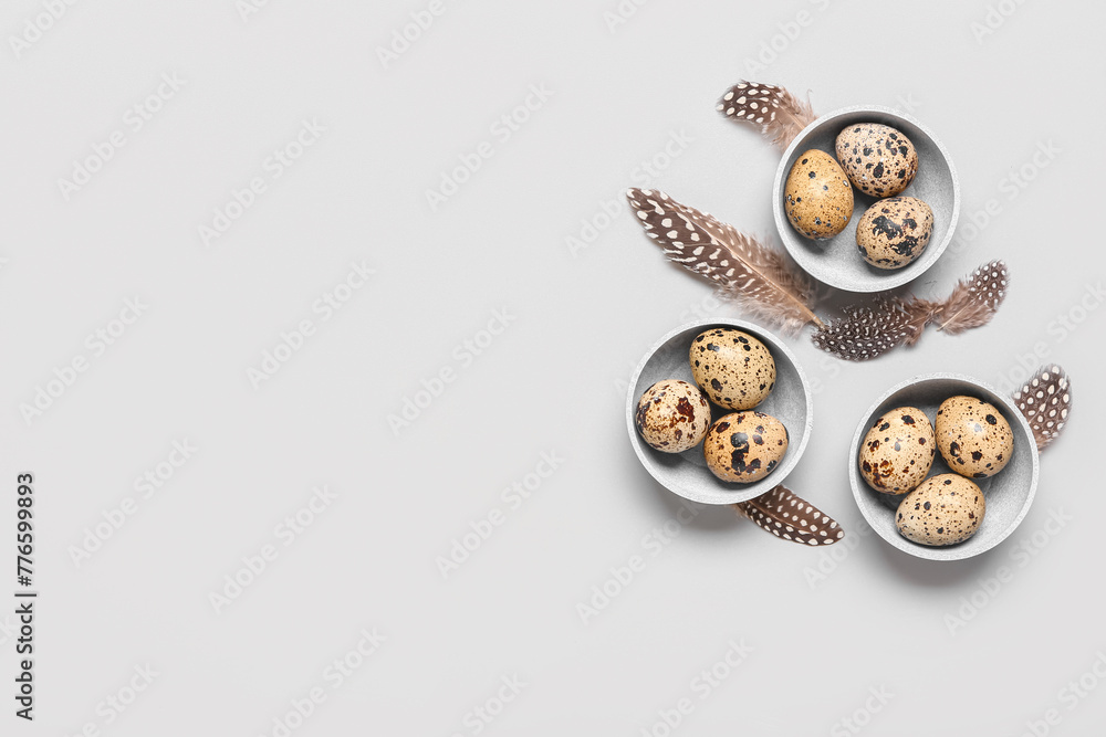Bowls with fresh quail eggs and feathers on grey background Bowls with fresh quail eggs and feathers on grey background