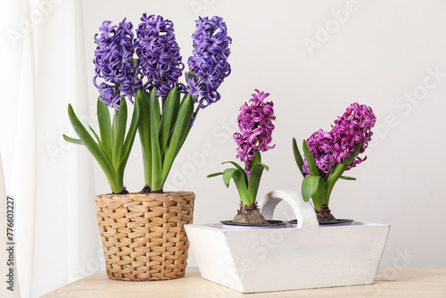 Fresh hyacinth flowers in wicker pot and basket on wooden table near light wall