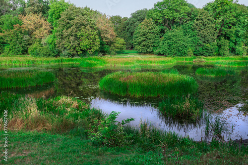 Tableau sur toile Serene lake in a lush green forest with vibrant foliage and a tranquil atmospher