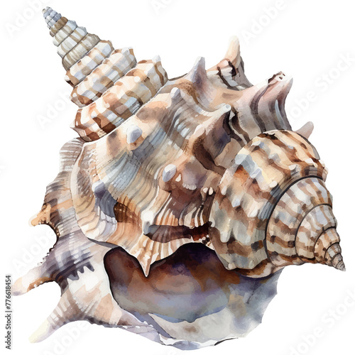 seashell watercolor illustration, generative AI © VALUEINVESTOR