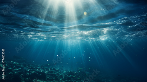 Sun Rays Illuminating Shoal of Fish Underwater