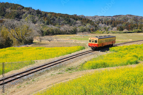 【千葉県市原市】小湊鉄道と菜の花畑の青空風景
