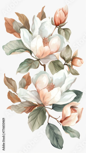 Artistic floral arrangement with pink blooms - Detailed botanical artwork of a floral arrangement with various stages of pink magnolia blooms