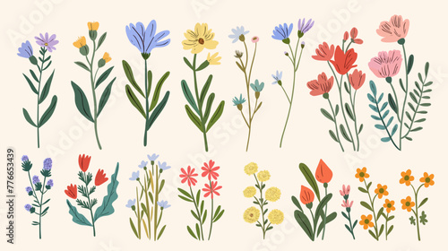 Hand drawn abstract wildflowers flowers and leaves flat icons set. Floral design with ornaments. Spring flowers blossom. Beautiful bouquet. Color isolated illustrations