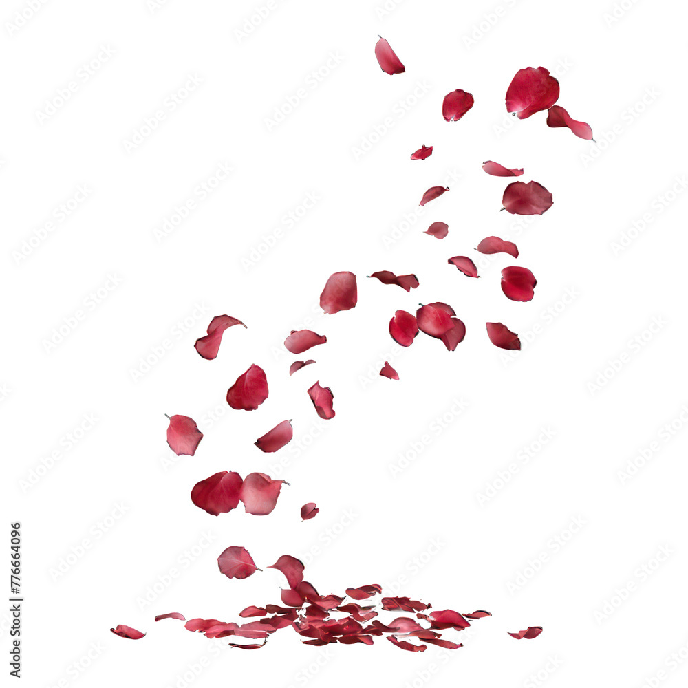 side view of rose petals flying transparent isolated on white PNG