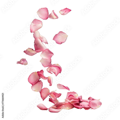 Fototapeta Naklejka Na Ścianę i Meble -  side view of rose petals flying transparent isolated on white PNG