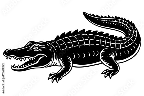 crocodile isolated on white background