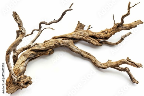 Dry twisted jungle branch isolated on white background, natural wooden texture